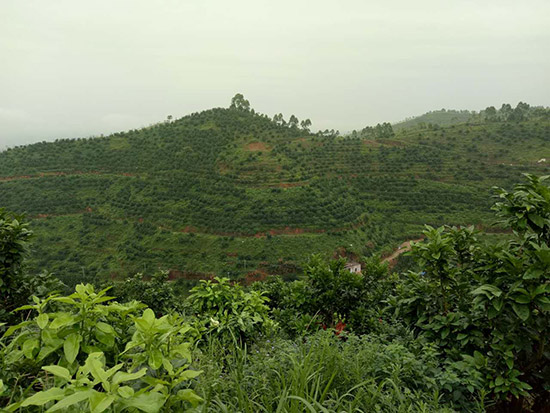 基地风采