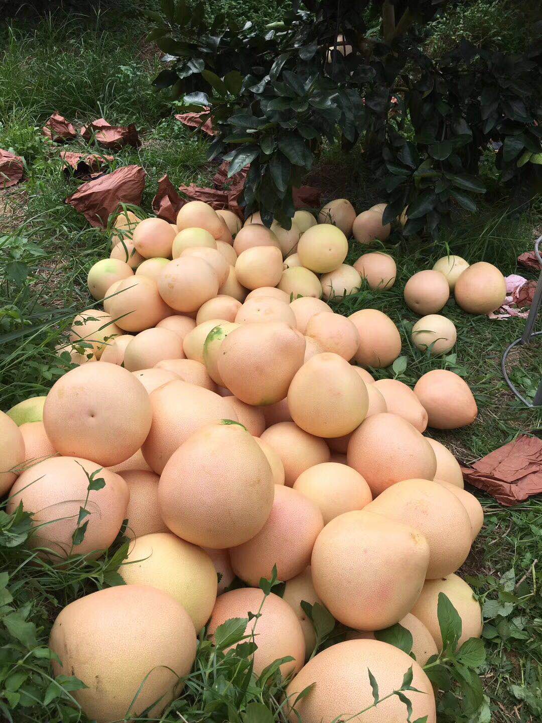 基地风采