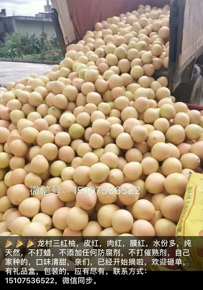基地风采