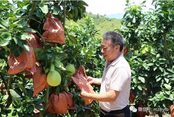 大力发展耕山致富，助推精准扶贫脱贫