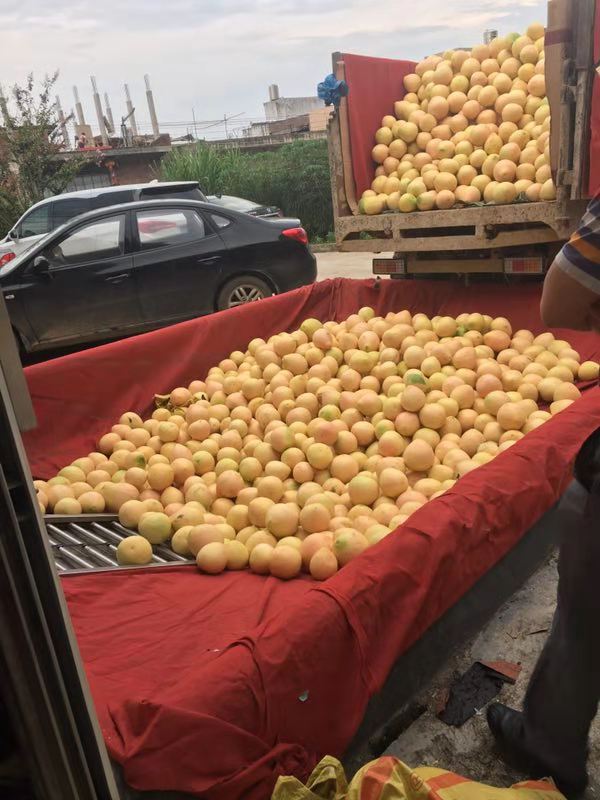 运输车