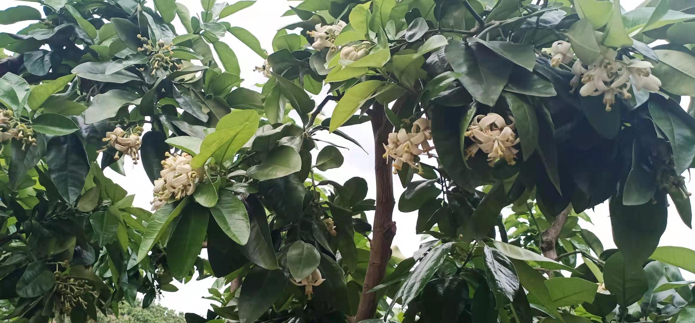 基地风采