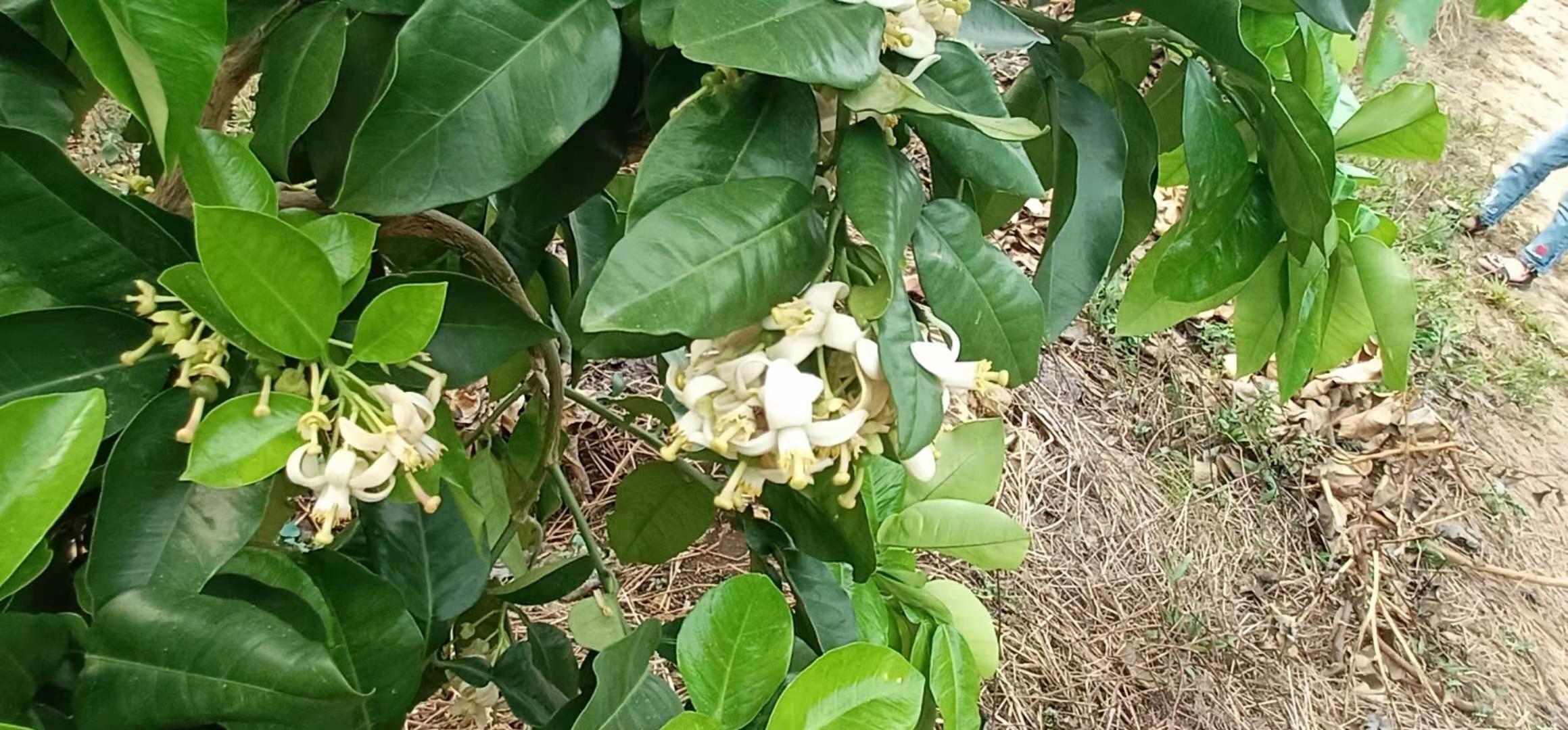 基地风采