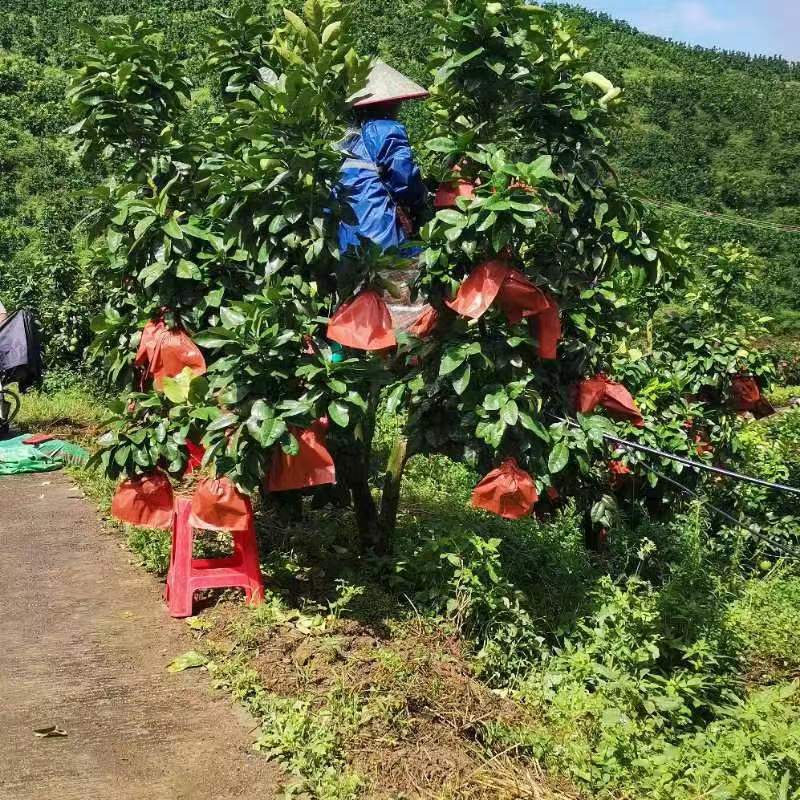 基地风采