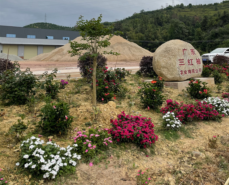 基地风采